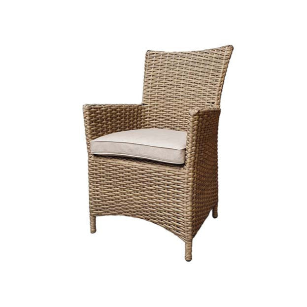 Signature Weave Darcey Pair of High Back Dining Chairs – Nature with Beige Cushion