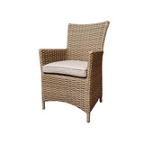 Signature Weave Darcey Pair of High Back Dining Chairs – Nature with Beige Cushion